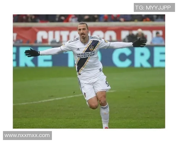 世界足坛巨星如何评价伊布 每位球员眼中的伊布传奇之路