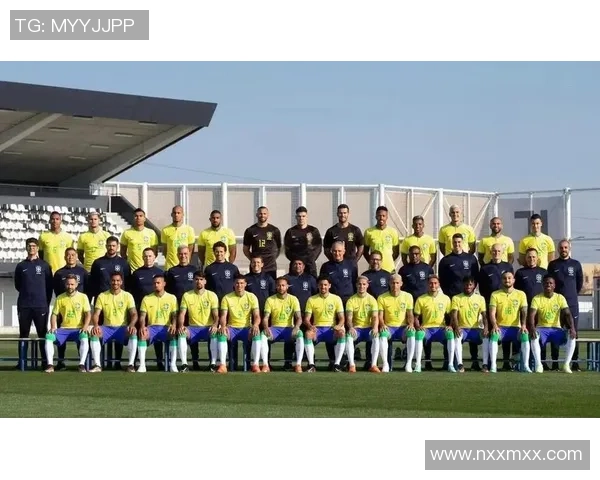 巴西足球现役球星风采全面解析与未来发展前景展望